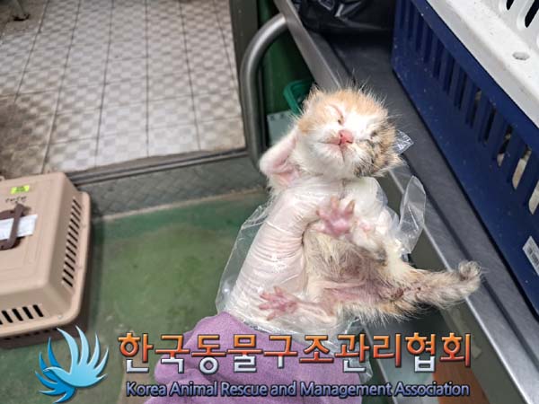종료(자연사) 한국…